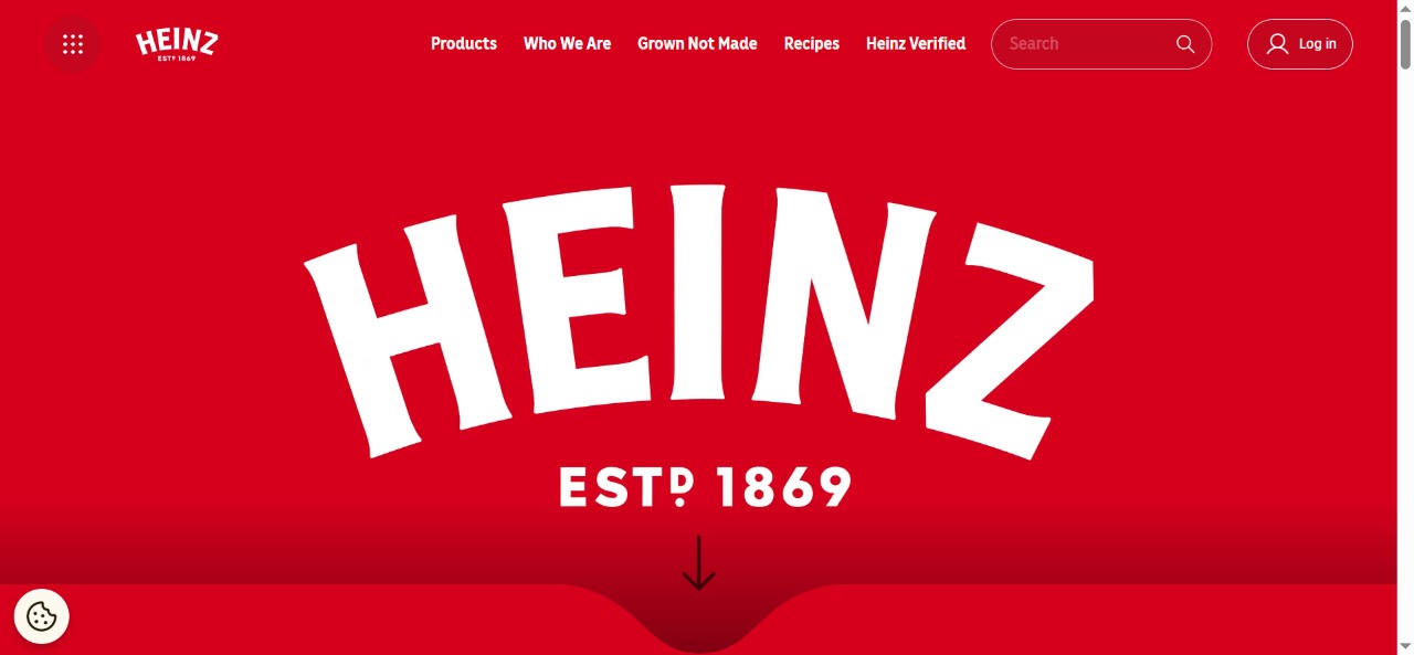 Kirrin Finch - Shopify Store